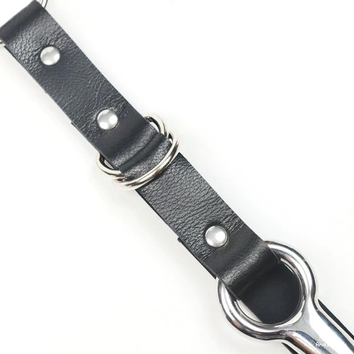 Hook Anal Collar EverydayUse Leash and Kinky with 5853 0227